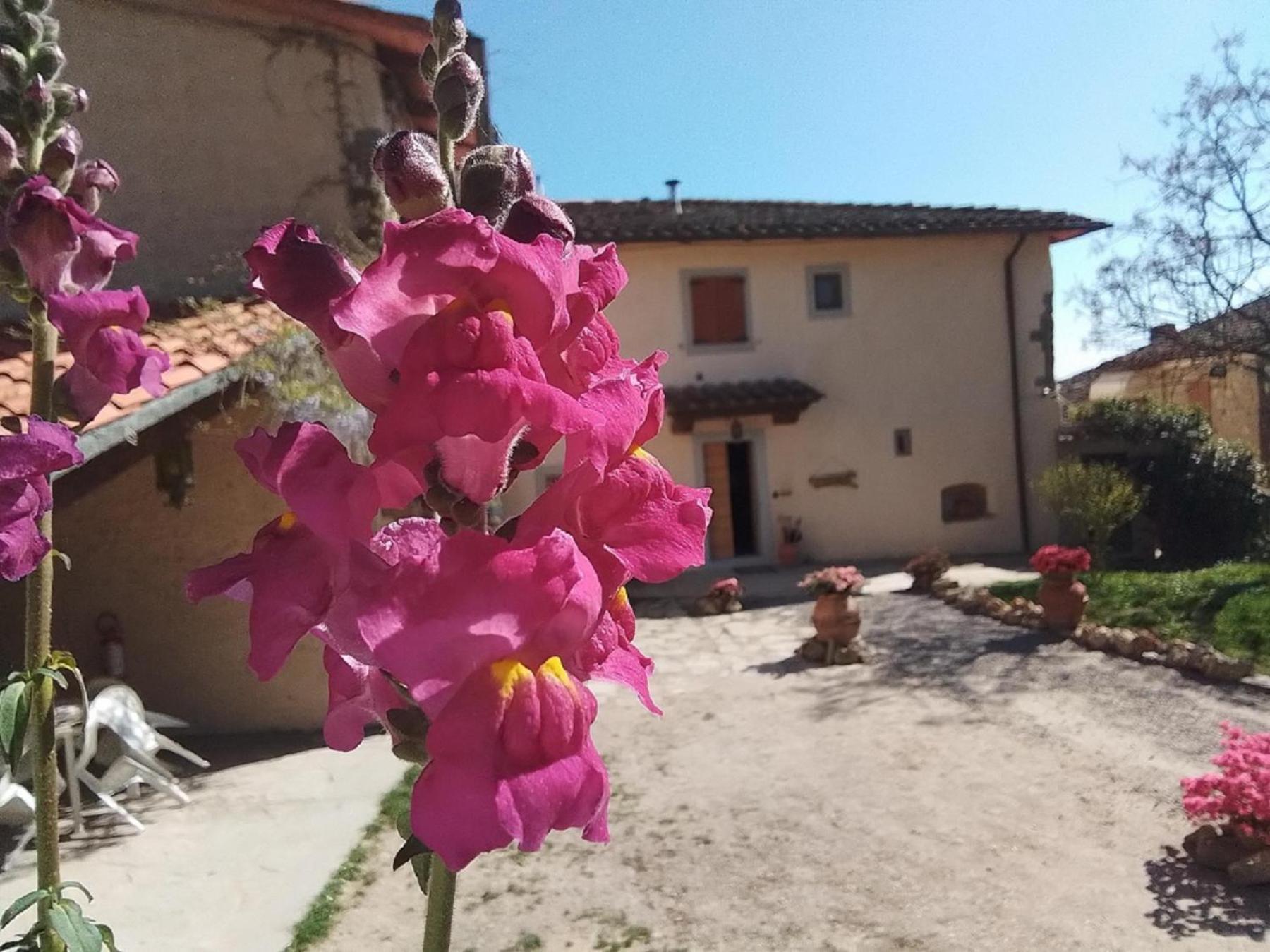 Casa Vacanze Podere Ugolini Ronta Екстериор снимка