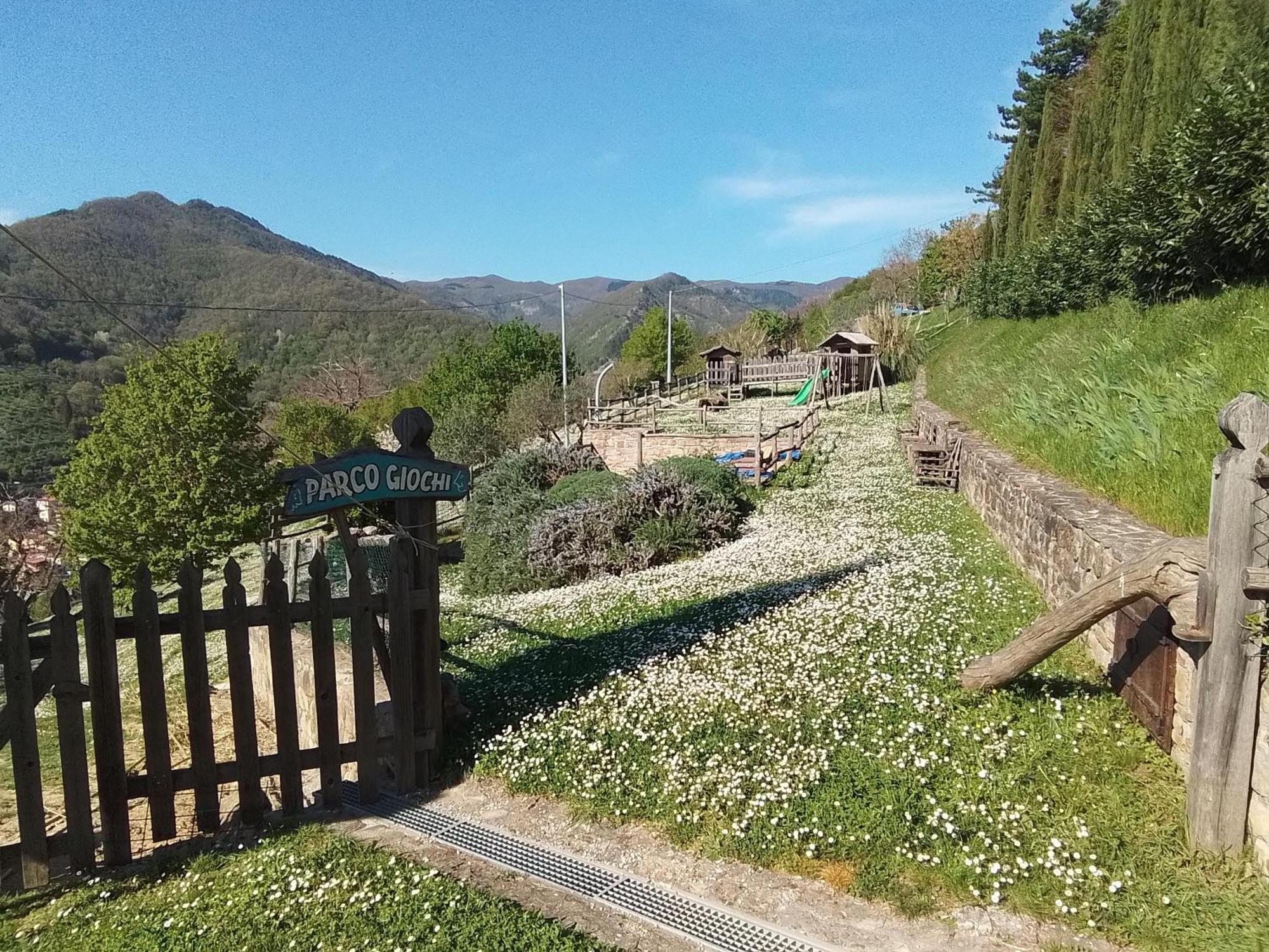 Casa Vacanze Podere Ugolini Ronta Екстериор снимка