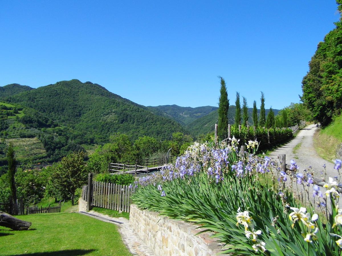 Casa Vacanze Podere Ugolini Ronta Екстериор снимка