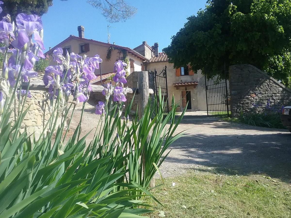 Casa Vacanze Podere Ugolini Ronta Екстериор снимка