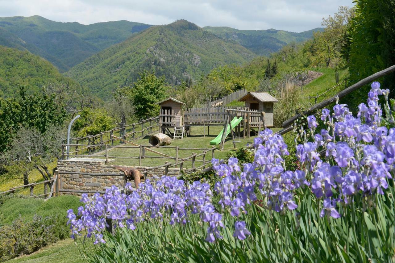 Casa Vacanze Podere Ugolini Ronta Екстериор снимка
